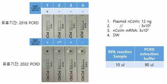 Comparison the real time RT-RPA reaction in the Lateral Flow Detector according to the expire date of LFD (Orf1a)(27℃, 20 min)