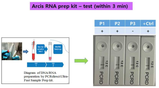 RNA extraction with simple method for real time RT-RPA using in the field