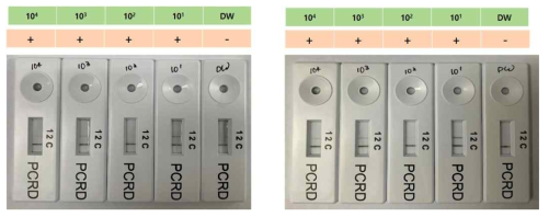 Repeated experiments for determining the limitation with SARS-CoV2 RNA at 37℃, 20 min