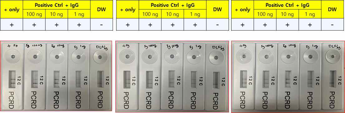 The effect of immunoglobulin G on RT-RPA LFD reaction