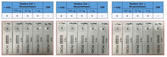 The effect of dexamethason on RT-RPA LFD reaction