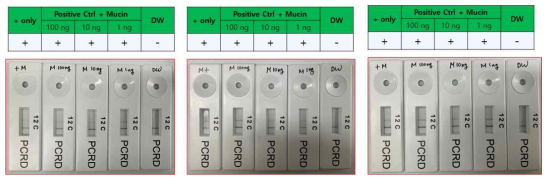 The effect of mucin on RT-RPA LFD reaction