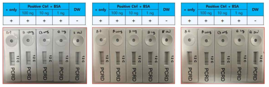 The effect of BSA on RT-RPA LFD reaction