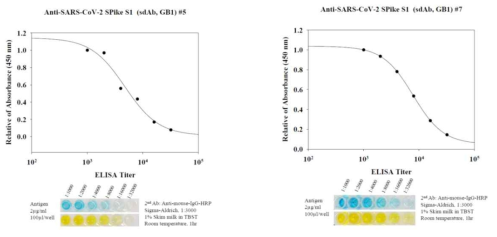 Production of two kind of S1 recombodies for pairing to detect the SARS CoV2 viral antigen