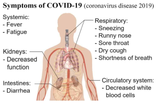 Clinical symptoms of SARS-CoV2