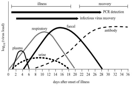 Antibody titer against SARS infected patient according to the recover. (Source: Laboratory diagnosis of SARS. (DOI:10.1098/rstb.2004.1493))