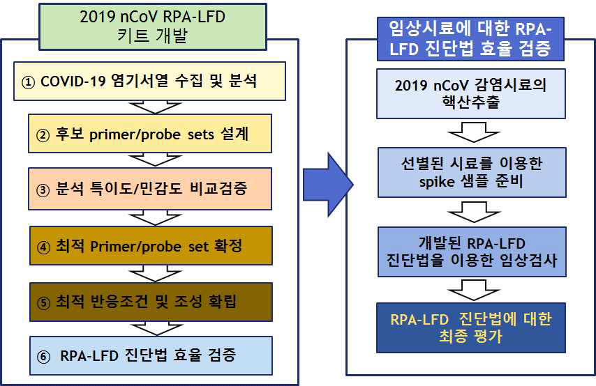 Flow chart for developing the COVID-19 RT-RPA LFD kit