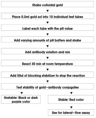 Process of gold conjugation of antibody