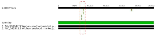 Target region of RPA for COVID-19 (Orf1a)