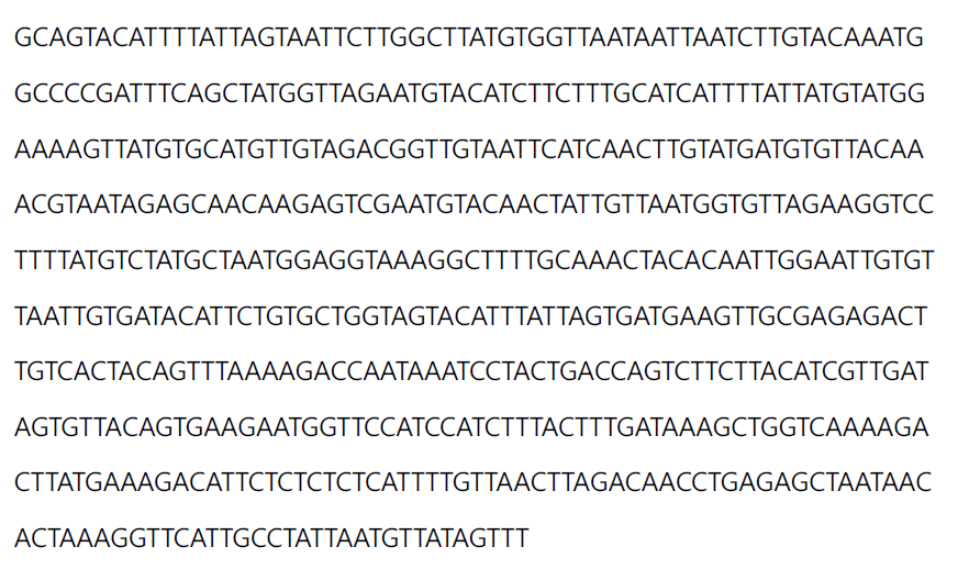 mRNA transcript (Orf1a) synthesis for positive control in RPA reaction