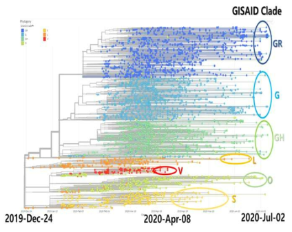 Gene alignment of target area of RPA primer and probe