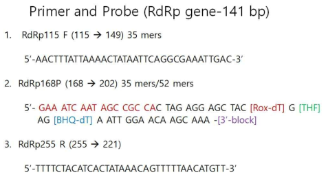 Primer and probe sequence of real time RT-RPA kit (RdRp)