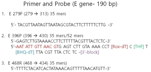 Primer and probe sequence of real time RT-RPA kit (E gene)