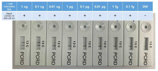 Limitation of detection for real time RT-RPA kit with Lateral Flow Detector (Orf1a)