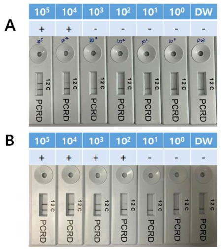 Comparison the real time RT-RPA reaction with primer and probe originated from different source. (A) Korea, (B) Germany