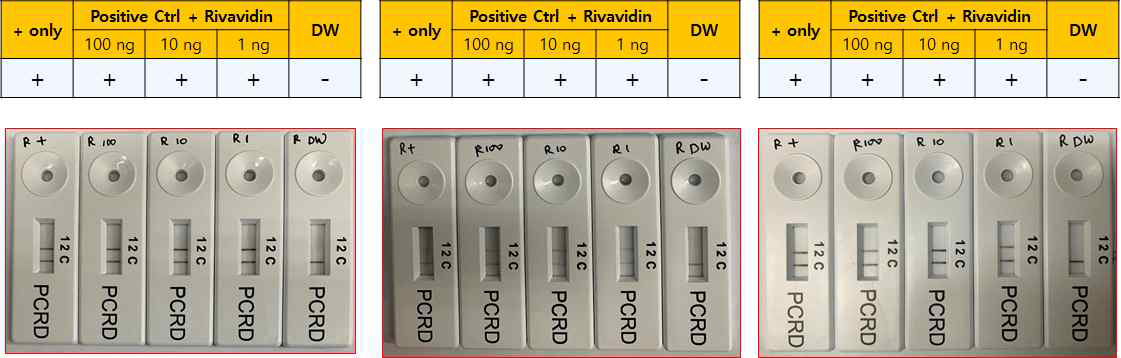 The effect of rivavidin on RT-RPA LFD reaction