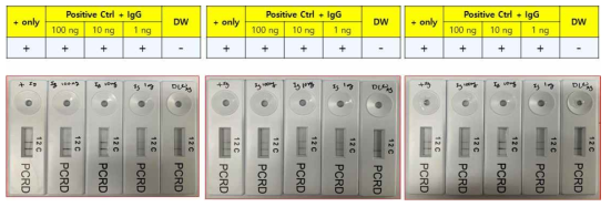 The effect of immunoglobulin G on RT-RPA LFD reaction