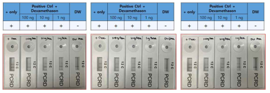 The effect of dexamethason on RT-RPA LFD reaction