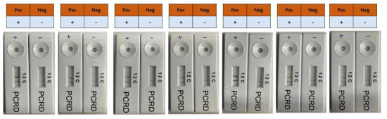 Cross contamination RT-RPA LFD reaction