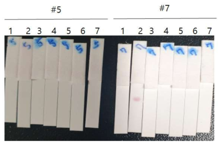 Dot blotting to S1 recombodies for pairing to detect the S 1: blank, 2: RBD, 3: 1ug LPS antigen, 4: 1ug/mL, 5: 0.5ug/mL, 6: 0.25ug/mL, 7: 0.125ug/mL