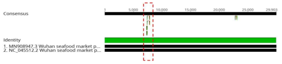 Target region of RPA for COVID-19 (Orf1a)