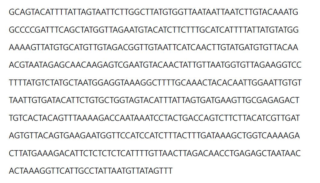 mRNA transcript (Orf1a) synthesis for positive control in RPA reaction