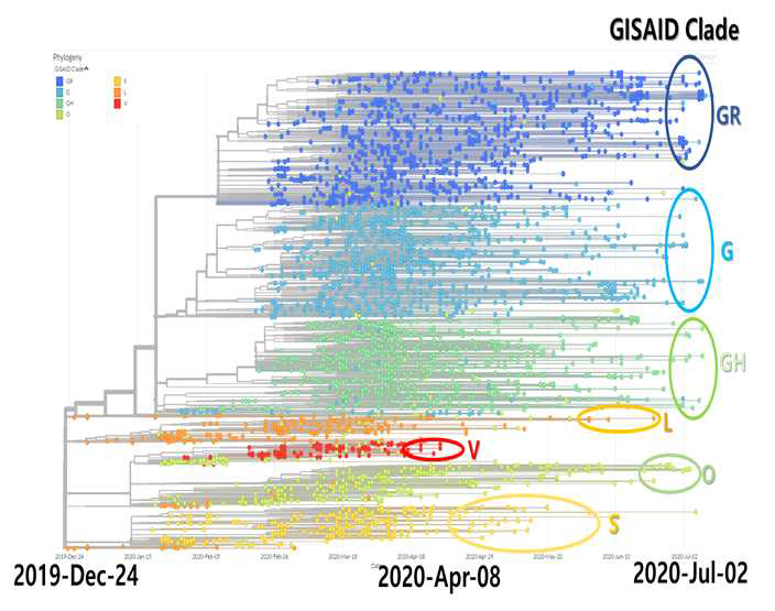 Gene alignment of target area of RPA primer and probe