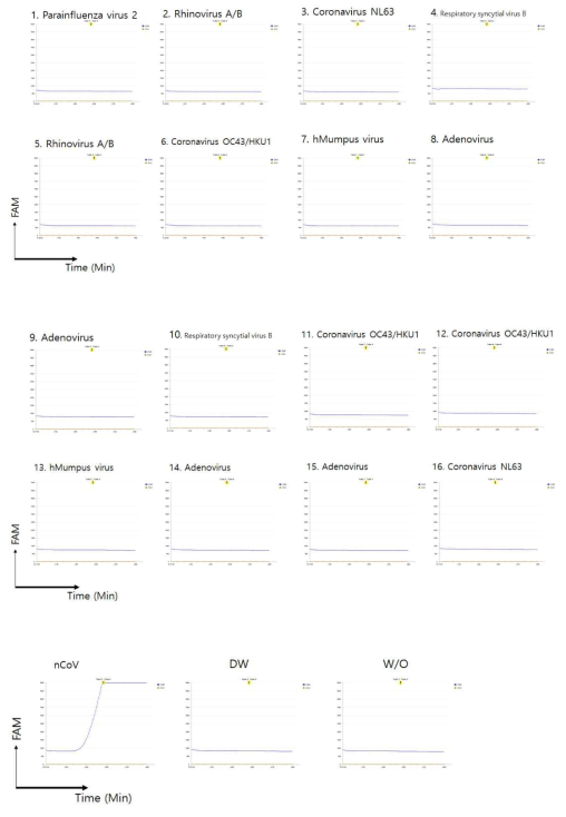 Specificity of real time RT-RPA kit