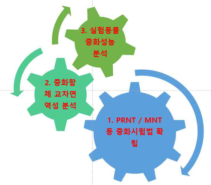 연구개발 단계 모식도