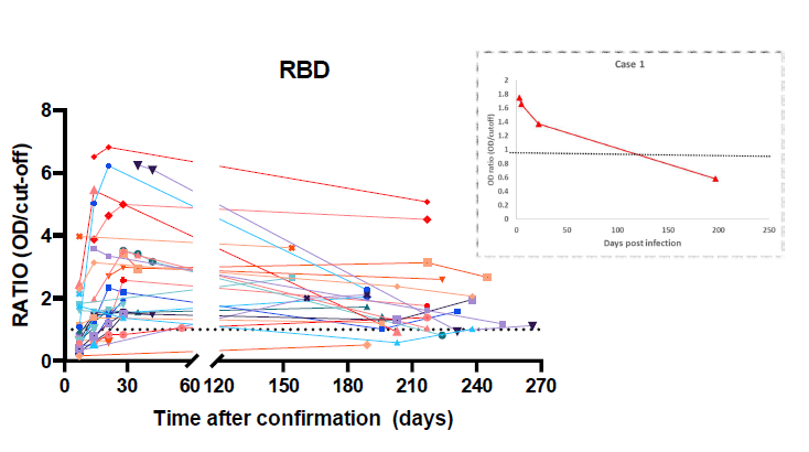 anti-RBD IgG의 시계열적 감소 경향. 무증상 감염자 1례에서 anti-RBD IgG 항체가가 기준 이하로 감소한 것이 확인됨