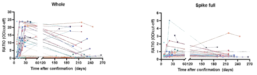 anti-spike=full 및 whole virus IgG 항체의 시계열적 감소 경향