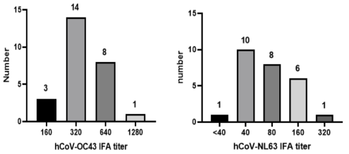 건강한 성인들의 hCoV-OC43 및 hCoV-NL63에 대한 IFA 항체가