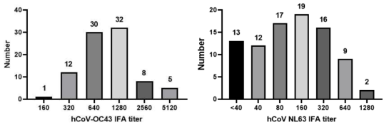 COVID-19 완치자들의 hCoV-OC43 및 hCoV-NL63에 대한 IFA 항체가