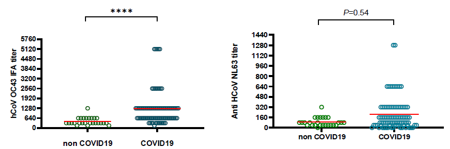 건강한 성인과 코로나-19 완치자들에서 hCoV-OC43과 hCoV-NL63 평균 항체가 비교