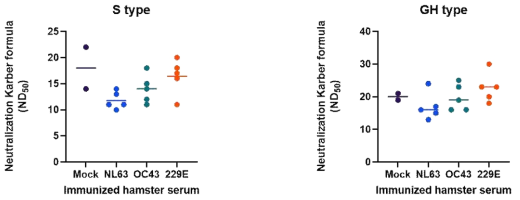hCoV-NL63, OC43, 229E 항체에 의한 SARS-CoV-2 S clade 및 GH clade 바이러스에 대한 중화항체 역가. 막대는 Karber formular 평균값을 나타냄