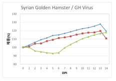 GH 바이러스 감염에 의한 햄스터 체중 변화