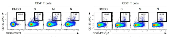 COVID-19 환자들의 Activation-induced marker assay 분석 결과