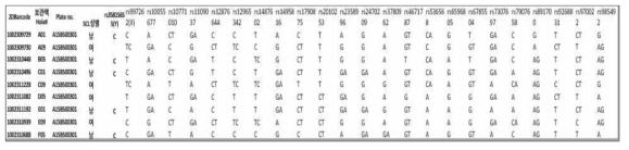 질병관리청 질관리용 샘플 식별 SNP마커