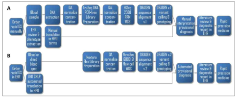 AI-based phenotype to genotype mapping