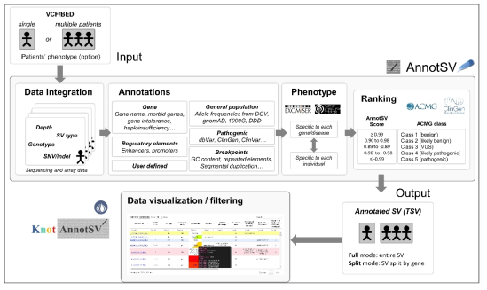AnnotSV으로 CNV를 annotation하는 흐름도