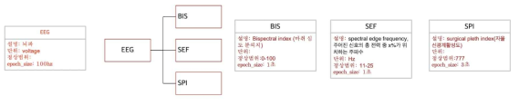 ECG 생체신호 데이터 모델