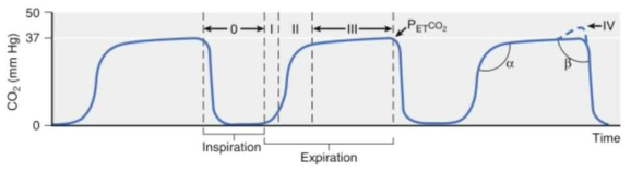 세 번 호흡동안의 Time Capnogram의 예시. Inspiration, 흡기; Expiration, 호기; PetCO2, 호기말이산화탄소분압