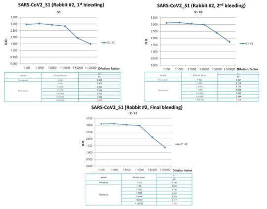 ELISA assay를 통한 S1 단백질을 면역접종한 토끼 혈청의 항체량 측정
