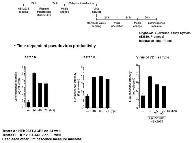 luciferase reporter assay를 통한 슈도바이러스 감염 확인