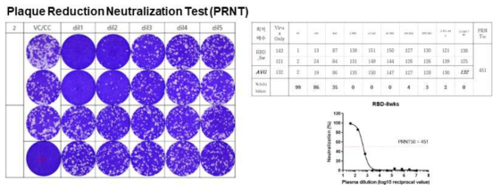 PRNT 검사법을 이용한 중화항체능 평가