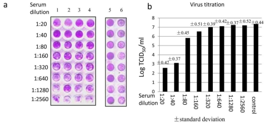 Micro-neutralization assay