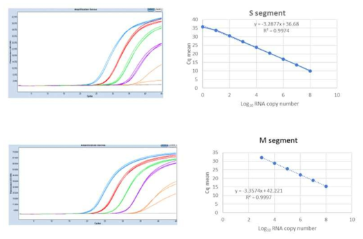 RT-PCR의 standard curve