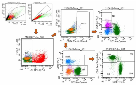 Flow cytometry 결과의 예