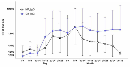 Anti-NP IgG, Anti-Gn IgG 항체 kinetics