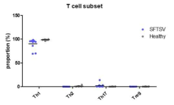 T cell subset의 분석